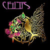 CEILTIS - Recordings representing over 20 years of great music at The Celtic Arts Center!
